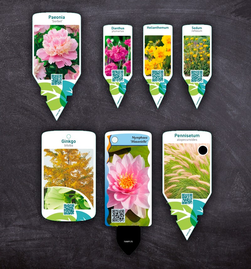 Floramediashop, tu tienda online de etiquetas para plantas