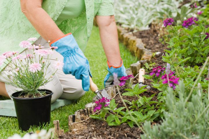 jardineria saludable