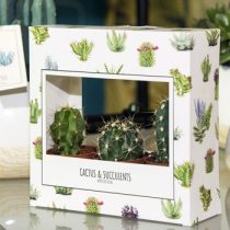 packaging