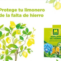 publicidad