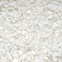 etiquetas para plantas carton
